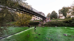 Lebensmittelfarbe färbt die Dreisam giftgrün