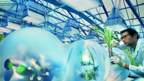 Bayer stärkt den Heimatmarkt