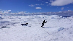 Und jetzt noch zum Südpol!