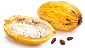 Lindt süßt auf neue Art