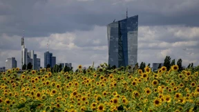 EZB hebt Zinsen um 0,5 Prozentpunkte an