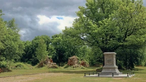 Ist die Natur grausam oder barmherzig?