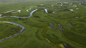 Endlich Freiheit für die Flüsse!
