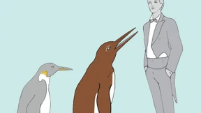 Knochen von Riesenpinguin in Neuseeland gefunden