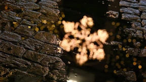 Schirm statt Schlitten