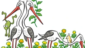 Streifzug durch die Disteln