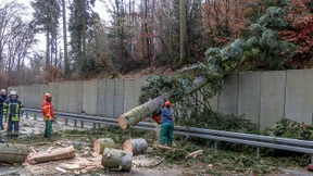 Ein Toter nach Orkanböen