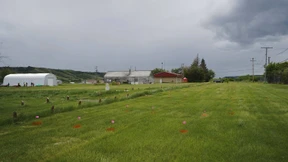 Trudeau fordert Entschuldigung vom Papst