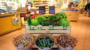 Biomarkt Alnatura testet eigenen Lieferservice