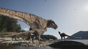 Ein halbstarker T. rex