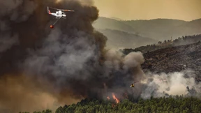 Erster Waldbrand des Jahres in Spanien