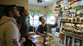 Bundesregierung will geschäftsmäßigen Cannabis-Anbau verhindern