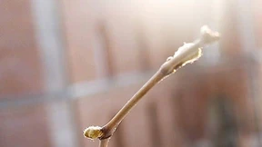 Der Klimawandel als verbindliches Höllenfeuer der Moderne