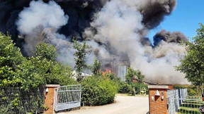 8000 Schweine bei Brand auf Bauernhof verendet