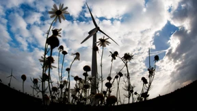 Gabriel: Ökostrom-Rabatte kein Industrielobbyismus