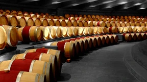 „Wir haben keine Angst, uns mit Franzosen zu messen“