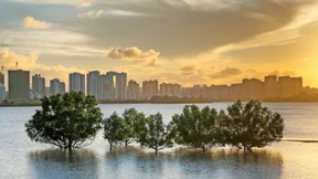 Keine Zeit zu zögern