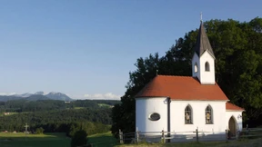 Den Patrioten ins Gesicht