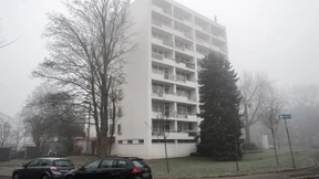 Die Jungs und das Terrornetz