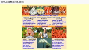 Karotte als Blasinstrument