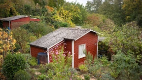 Autofahrerin landet nach Ausweichversuch in Kleingarten