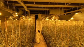 Es wird eng für die Hintermänner im Drogenhandel