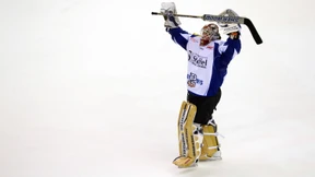 Tigers düpieren Eisbären