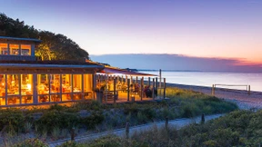 Kalbskopfterrinen ohne Kanonendonner