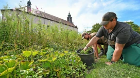 Mönche in Hessen: Ein Habit wie ein Hoodie
