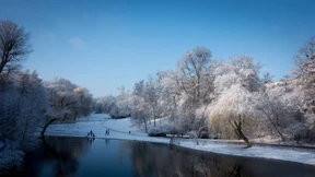 Für den einen Moment Januar 2015