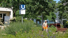 Das Viertel der Freiheitsbewegung