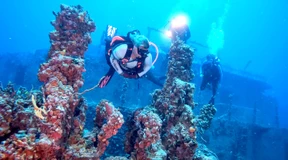 Kältetherapie für Korallenriffe