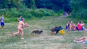 Das diebische Wildschwein wird vorerst verschont