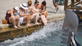 Wir wissen, was du letzten Sommer getan hast