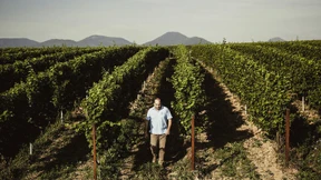 Das Fell des Bären zerteilt man nicht