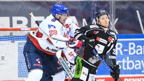 Adler senden Signale der Stärke