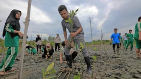 Grüne Fonds machen ernst