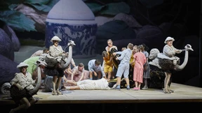 Der ernste Sucher Papageno