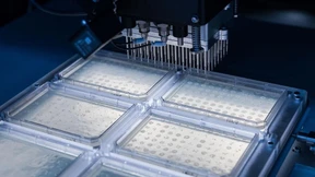 Bioweg findet Partner im Kampf gegen Mikroplastik