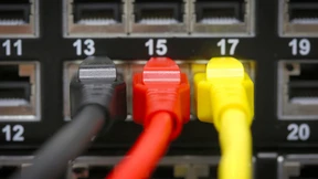 Orientierung im Digital-Dschungel