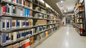 KI entdeckt verborgenes Wissen