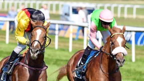 Regen wäre gut für Hengst Torquator Tasso