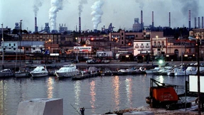 In den Klauen der Blutsverwandtschaft