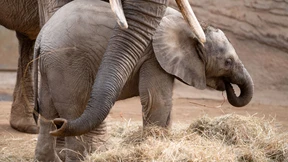 Tonnenweise Erinnerungen