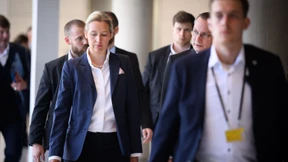 Die AfD kann den Verdacht nicht abschütteln