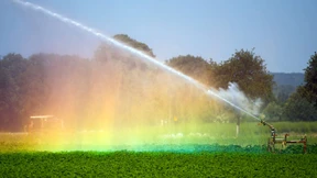 Frühling 2020 war einer der sonnigsten seit Aufzeichnungsbeginn