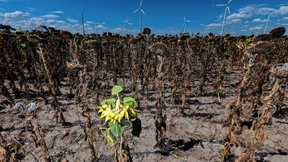 „Wahrscheinlich wird ein bedeutender Teil der Erde quasi unbewohnbar“