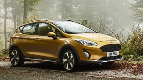 Die Fiesta-Familie bekommt Vierlinge