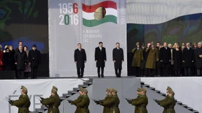 Gefährlicher Flirt mit der Freiheit