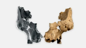 Älteste Gesichtsknochen Westeuropas in Spanien entdeckt